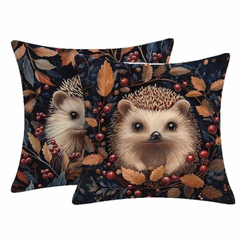 Image of Waterproof Outdoor Cushion Covers 60x60cm,Animal 2 Pack Linen Hedgehog Double-sided Printing Invisible Zipper for Sofa Chair Living Room Patio Garden Decorative Throw Pillow Cases 24x24 inch-2215