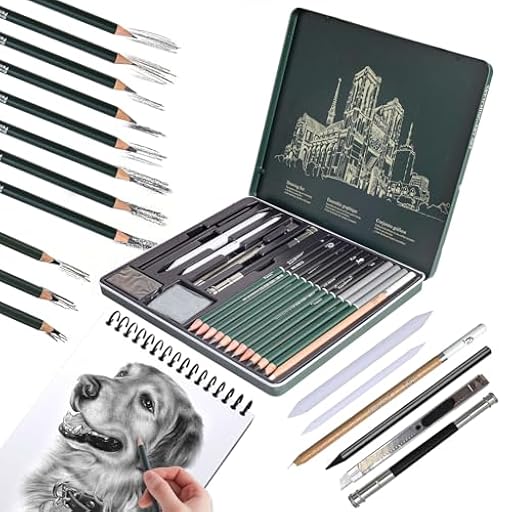 19 Piezas Lápices de Dibujo Profesionales Ideales para Sombrear, Dibujar y Bocetar, Apto para Principiantes y Artistas, Set Básico de Lápices de Grafito para Bocetos y Dibujo en Estuche Metálico | Ya disponible en tu tienda friki favorita! En mundofriki.es!