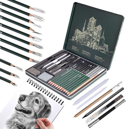 19 Piezas Lápices de Dibujo Profesionales Ideales para Sombrear,