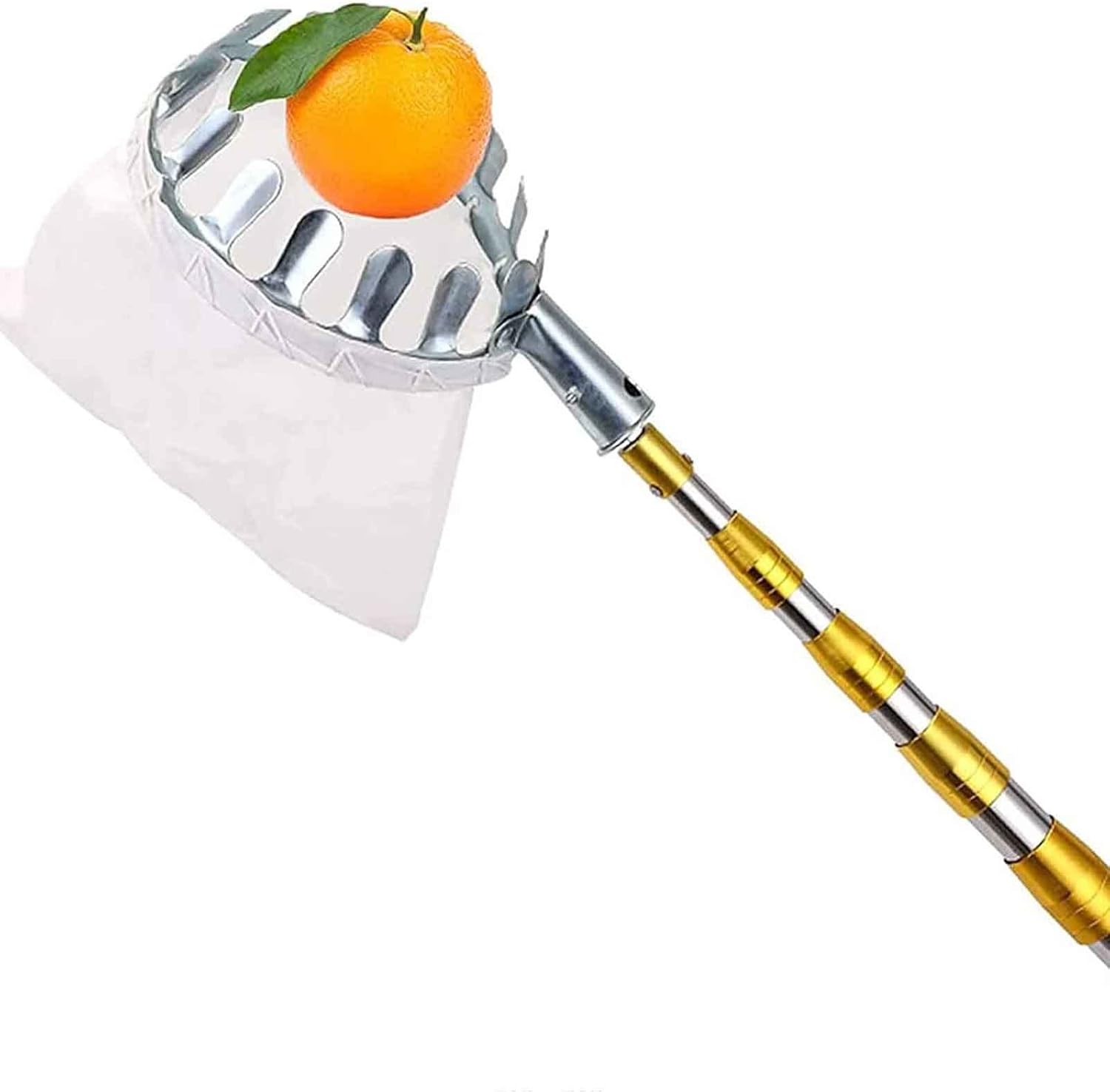 Raccogli Frutta Telescopico 2.4m - In Acciaio Inox Con Borsa Cotone | Per Mele, Pere, Arance, Limoni