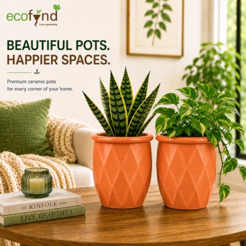 Image of ecofynd 4 Inch Ceramic Plant Pots with Drainage Hole, Modern Decorative Clay Flower Pots for Indoor Plants, Home Garden Decor for Living Room, Bedroom & Interior Spaces (Pack of 2, CPOT043-PEH)