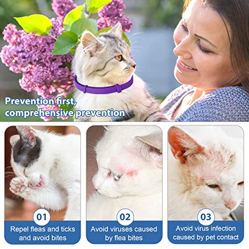 Purple Flea and Tick Collar for Cats & Kittens, Cat Flea Collar 2 Pack Made with Plant Based Essential Oil, 8-Month… - Image 5