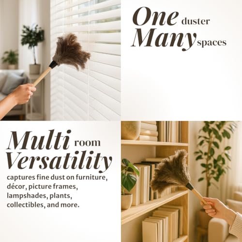 Image of Ostrich Feather Duster with Wooden Handle 14 inch - Natural Reusable Feather Duster for Cleaning, Furniture & Shelves, Blinds, Ceiling Fan, Dusting Tool for Home, Office, Delicate Surfaces - 1 Pack