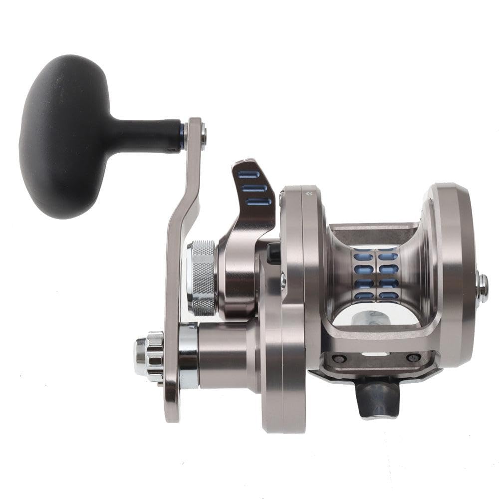 Amazon | DIAWA Saltiga LD20 H | ダイワ(DAIWA) | スピニングリール