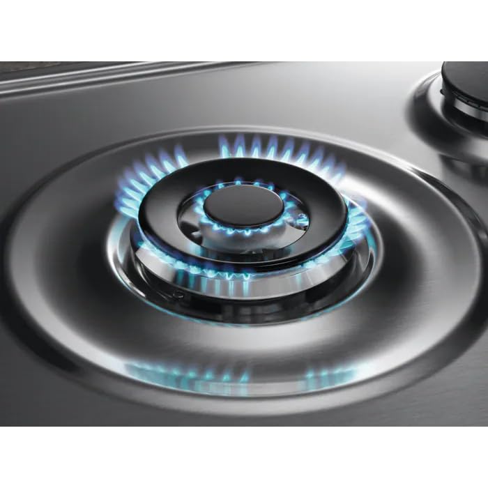 EGS75362X Plaque de cuisson 5 feux à gaz 75 cm en acier inoxydable