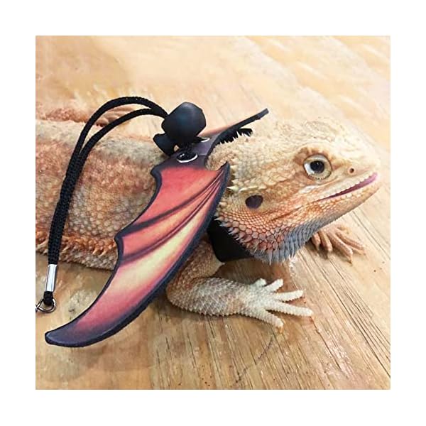 Adoggygo bearded dragon lizard leash harness - adjustable cool leather wing lizard reptile harness leash for bearded dragon lizard reptiles (orange) - image 4