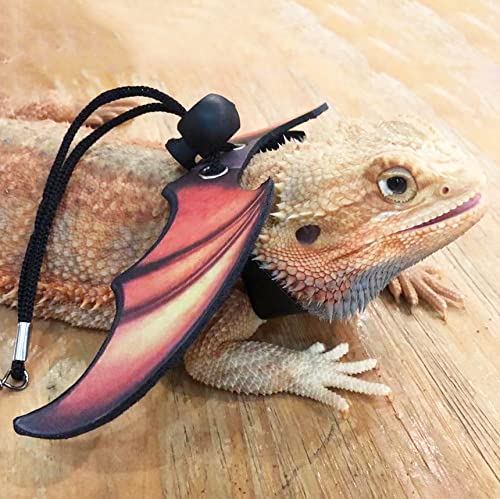 Adoggygo bearded dragon lizard leash harness - adjustable cool leather wing lizard reptile harness leash for bearded dragon lizard reptiles (orange) 3 Adoggygo bearded dragon lizard leash harness - adjustable cool leather wing lizard reptile harness leash for bearded dragon lizard reptiles (orange) - image 4