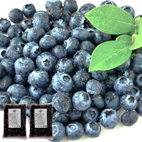 UMIZUKI　完熟生ブルーベリー180g×15p UMIZUKI 完熟生ブルーベリー180g×15p 完熟ブルーベリー〔生果実