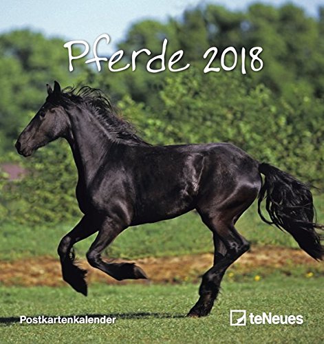 Pferde 2018. Postkartenkalender