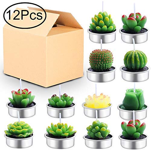 Outee Cactus Tealight Candles 12 Pack Handmade Delicate Succulent Cactus Candles Flameless Aromatherapy 12 Designs for for Birthday Party Wedding Spa