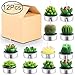 Outee Cactus Tealight Candles 12 Pack Handmade Delicate Succulent Cactus Candles Flameless Aromatherapy 12 Designs for for Birthday Party Wedding Spa