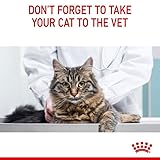 ROYAL CANIN Dental Care | Doppelpack | 2 x 400 g | Trockenfutter für ausgewachsene Katzen | Zur Unterstützung der Gesundheit und Maulhygiene | Mit einem Zahnpflege-Aktivnährstoff