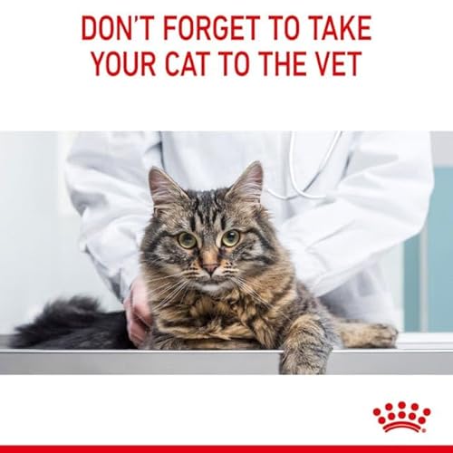 Royal Canin Dental Care Adult Dry Cat Food 2 x 400g - Image 7