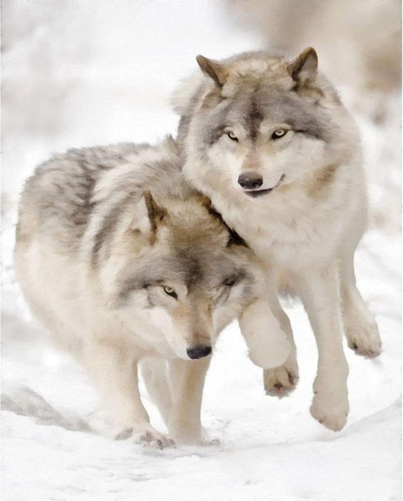ABEUTY Kit di decorazione per tessuti fai da te, pittura con numeri Wolf Animal 40,6 x 50,8 cm con numeri (lupo 1, cornice in legno