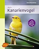kanarienvogel englisch  Mein Kanarienvogel zu Hause