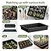 SOLIGT Extra Thick Heavy Duty 10 Pack Seed Starting Trays - Microgreens Growing Trays Seedling Plant Germination Starter Tray Transplant Fodder Flats, No Holes, No Leakage, Reusable, 14 * 10.8 * 2.3