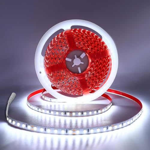 FWoche Striscia LED 10m Bianco freddo 6000K 24V Strisce LED autoadesiva, con 1200 pezzi 2835 LED, Striscia dimmerabile, Striscia LED IP20 Fai da te per la decorazione di interni, senza alimentatore