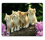 Forest and Cat Background Gaming Mouse Pad Oblong Shaped Mouse Mat Natural Eco Rubber Durable Computer Accessories Mouse Pads Support Wired Wireless or Bluetooth Mouse