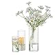 Romadedi Zylindervasen für Tafelaufsatz, Kerzenhalter – Set mit 6 Hurrikan-Glas, klar für Blumen, Votivkerzenhalter für Stumpenkerzen, Tischdekoration, Party, Hochzeit, Heimdekoration