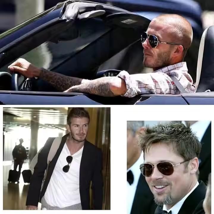 Image of Dervin Unisex Adult Polarized Aviator Sunglasses