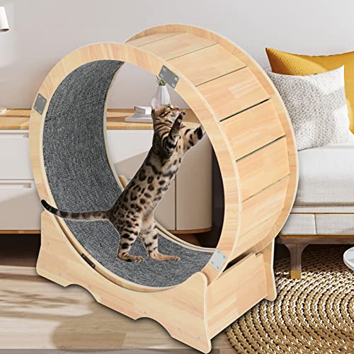 Cat Exercise Wheel Indoor Treadmill Small Animals Exercise Wheels ，Cat Runway, Fitness Weight Loss Device，Cat Running Wheel ，Pet Toy ，Large-Sized Cat Wheel (Large) #TOP1