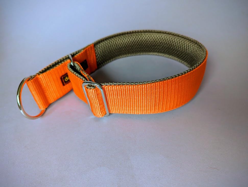 Breites 4cm Zugstopp-Halsband mit weicher Polsterung, verstellbar, robust & komfortabel in leuchtendem Orange, leicht & elegant (bis 38cm Hals- 44cm Kopfumfang)