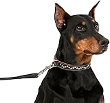 CollarDirect Hundehalsband mit Nieten, Leder, für kleine und mittelgroße Welpen, weich gepolstert, Braun/Schwarz (Braun, 28-33 cm)