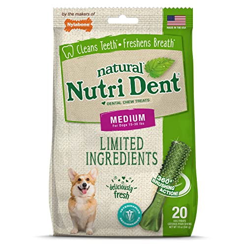 Image of Nylabone Nutri Dent Dog Dental Chews - Natural Dog Teeth Cleaning & Breath Freshener - Dental Treats for Dogs - Fresh Breath Flavor, Medium (20 Count)
