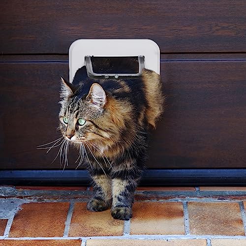 Chatière isolante magnétique pour la liberté de votre chat