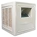 Dayton 4RNP5 Evaporative Cooler, Ducted, CFM 3800, Side