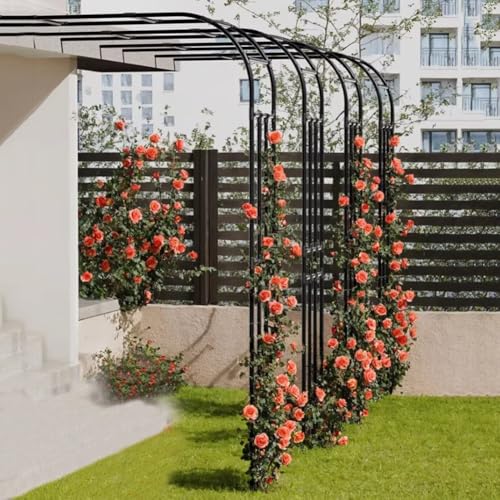 Enrejado de arco de jardín montado en la pared para plantas trepadoras exteriores 4