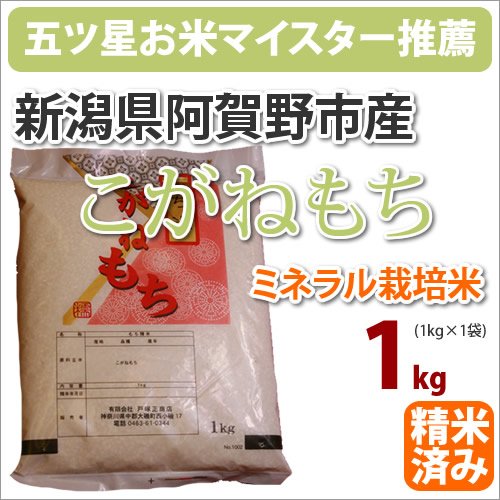 2�N�Y�@�V���������s�Y�~�l�����͔|�āu�����˂����v1kg�@