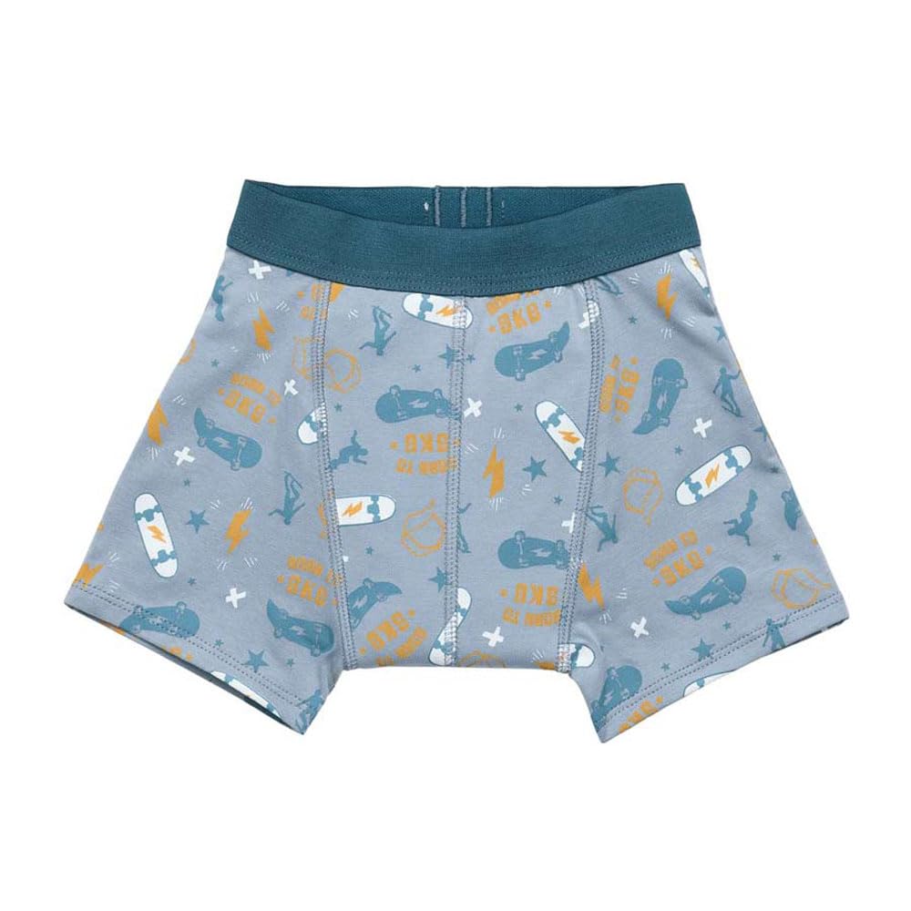 Brolly Sheets Boys Skater Snazzipants Training Pants, Reusable Absorbent Underwear, Waterproof Layer, Size Guide 2-12 Years (, 10-12 Years)