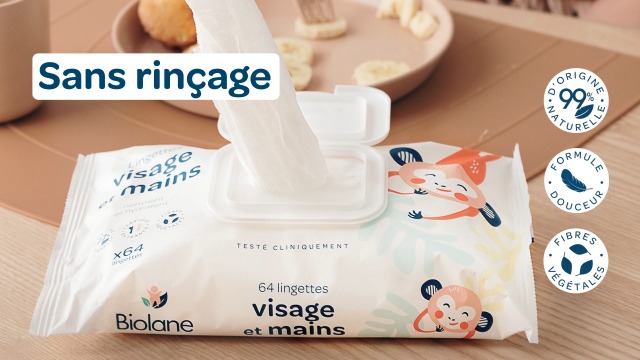 BIOLANE - Pack of 24 handkerchiefs for face and hands, baby, 480 wipes