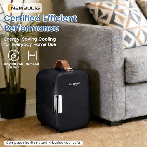 Image of NEWBULIG Mini Fridge for Bedroom, Office & Car, Portable 4L /4.23QT Mini Refrigerator for Skincare with Handle, Ultra-Quiet Energy-Saving Compact Cooler for Drinks, Food, Skincare & Makeup, 12V AC /DC