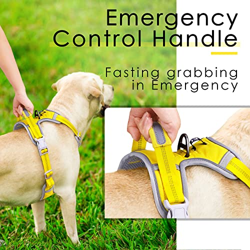 ThinkPet No Pull Harness Atmungsaktives Sportgeschirr mit Griff - Sicherheitsweste für Hunde, gepolstert, reflektierend, verstellbar, Clip hinten/vorne für Easy Control