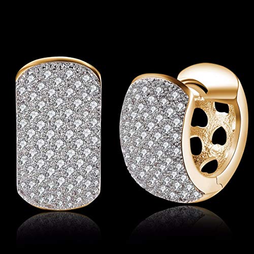 Zircon Plated Drop Earrings (CT-ERG-45109)
