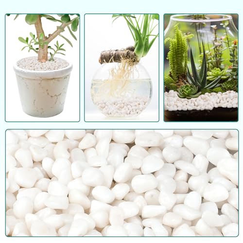 Image of 2.5 lbs Small White Rocks for Planters, 3 /8 inch White Pebbles for Vases, Decorative Small Stones for Plants, Succulents, Bamboo, Terrarium, Landscape, Garden