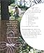 Fairy House Handbook