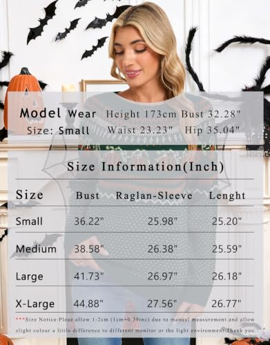 Image of Womens Fair Isle Sweaters Long Sleeve Crewneck Fall Winter Pullover Sweater