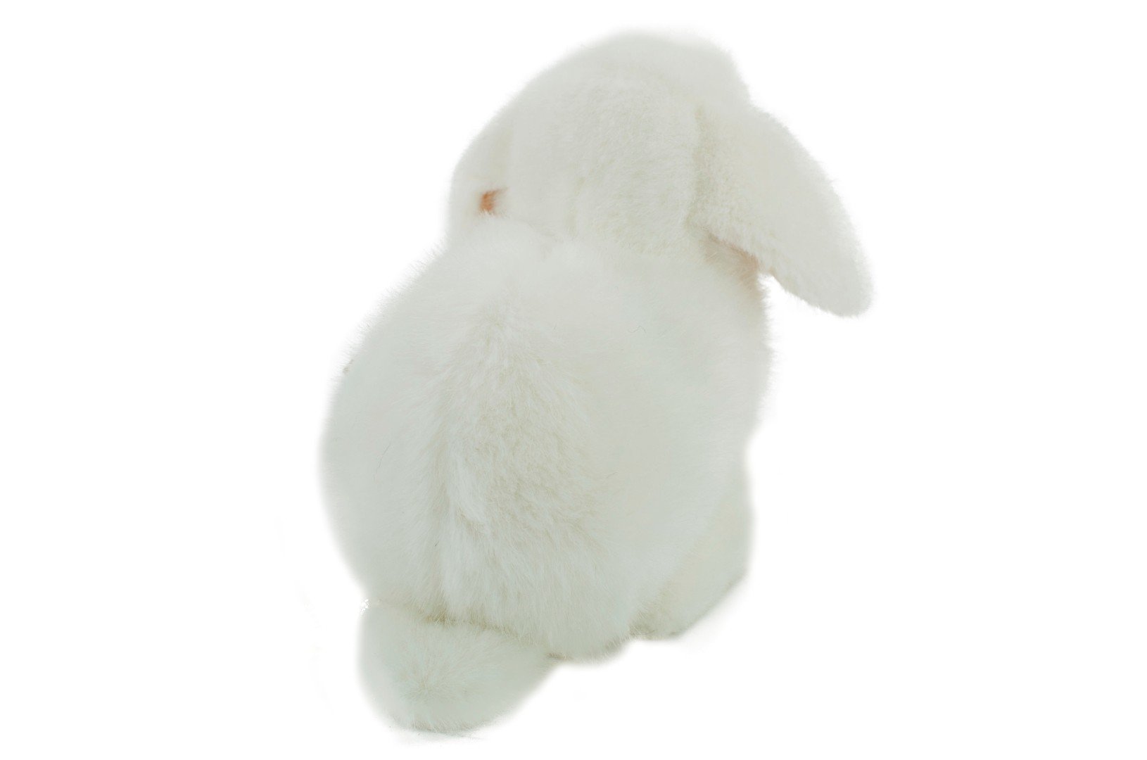 Amazon.co.jp: ドワーフロップの子 白 KOSEN(ケーセン社) 18cm