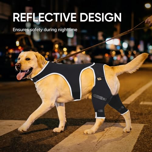 Image of Dog Knee Brace