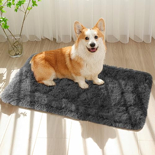 Grey 3' x 2' Modern Fluffy Area Rug for Bedroom, Living Room, Kids Playroom, Nursery Room, Teen Living Room, Dorm