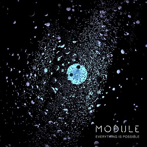 Module