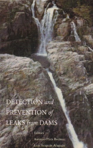Detection and the Prevention of Leaks from Dams