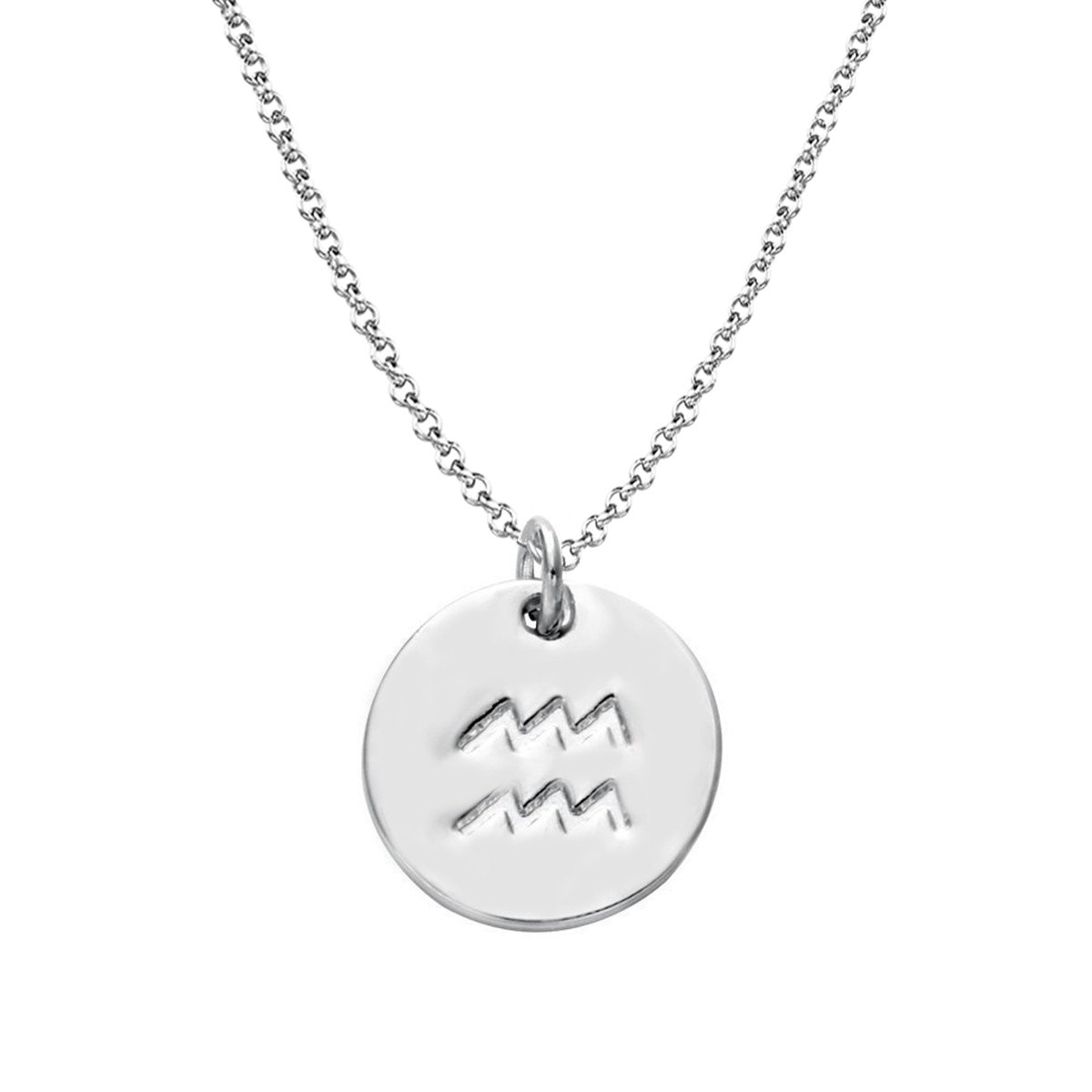 925 Sterling Silver Zodiac Necklace Disc Charm Necklace Gift for Your Wife Girlfriend or Family Member