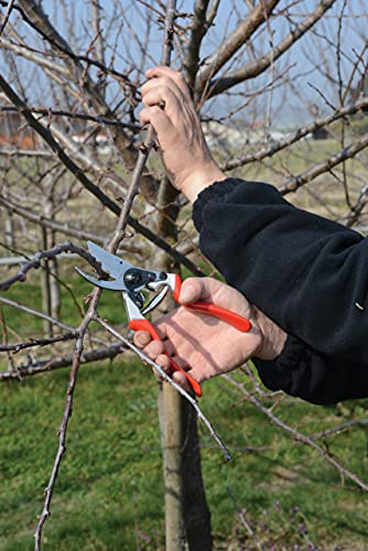 FELCO 8 snoeischaar (snede ø 25 mm, lengte 210 mm, snoeischaar voor rechtshandigen, aluminium handgrepen, ergonomisch… - Afbeelding 6