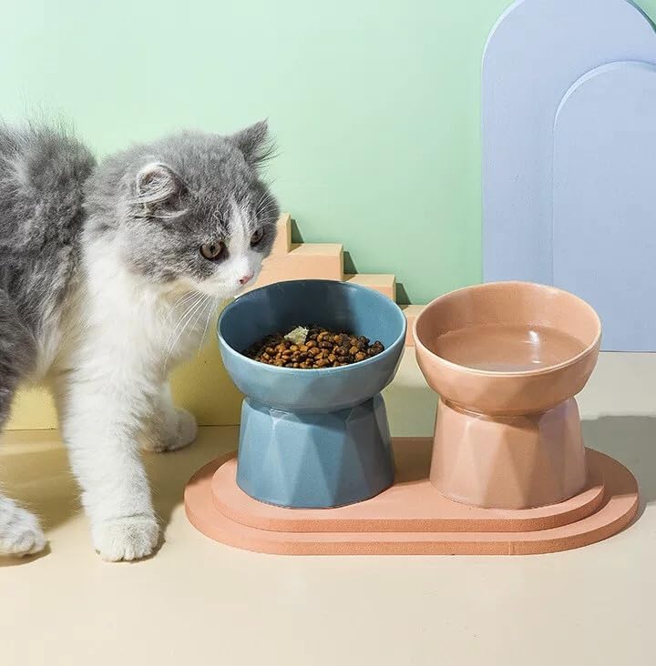 Image of PETANGEL Cat Ceramic Eelevated Anti Vomiting Pet Food Bowl (Pack Of 1 (Tilted Mint Green)),?12.5 cm,H 11.5 cm,W 11.5 cm