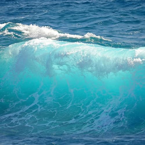 Water: The Conscious Blueprint for Life with Patrick Durkin Podcast Por arte de portada