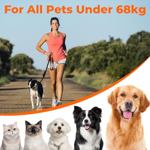 Euqvunn Correa Elástica Perros 1,4-2 m | Correa Antitirones Perros Grandes y Medianos | Doble Asa Acolchada | Cuerda Amortiguadora | Reflectante para Paseos Nocturnos y Entrenamiento | Negro - imagen 8